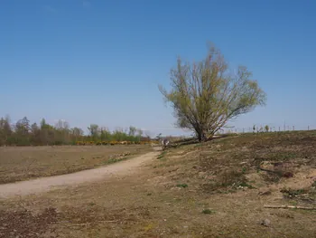 Kalkense Meersen (België)